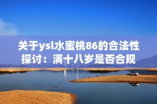 关于ysl水蜜桃86的合法性探讨：满十八岁是否合规