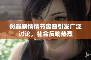 罚罪剧情情节离奇引发广泛讨论，社会反响热烈