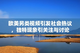 欧美另类视频引发社会热议，独特现象引关注与讨论