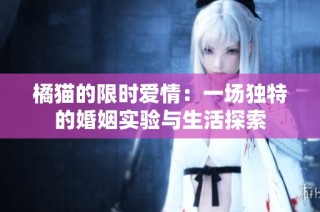 橘猫的限时爱情：一场独特的婚姻实验与生活探索