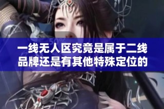 一线无人区究竟是属于二线品牌还是有其他特殊定位的产品