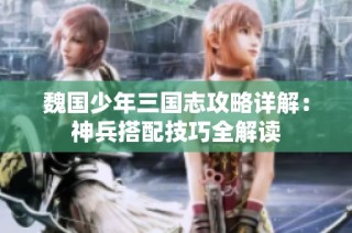 魏国少年三国志攻略详解：神兵搭配技巧全解读