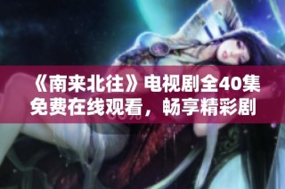 《南来北往》电视剧全40集免费在线观看，畅享精彩剧情与情感交织