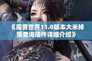 《魔兽世界11.0版本大米掉落查询插件详细介绍》