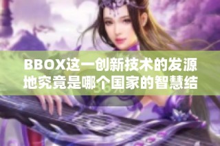 BBOX这一创新技术的发源地究竟是哪个国家的智慧结晶