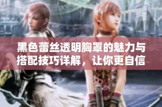 黑色蕾丝透明胸罩的魅力与搭配技巧详解，让你更自信展现魅力曲线