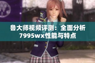 鲁大师视频评测：全面分析7995wx性能与特点