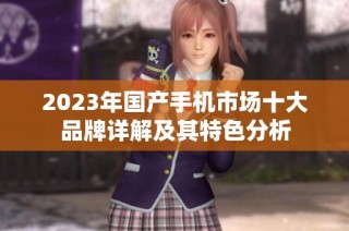 2023年国产手机市场十大品牌详解及其特色分析