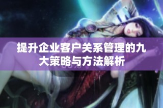提升企业客户关系管理的九大策略与方法解析