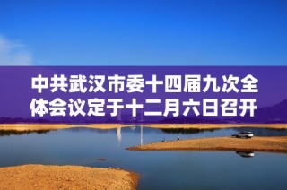 中共武汉市委十四届九次全体会议定于十二月六日召开，关注地方发展与政策调整
