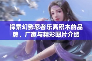 探索幻影忍者乐高积木的品牌、厂家与精彩图片介绍