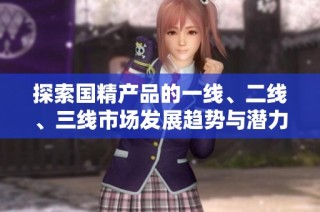 探索国精产品的一线、二线、三线市场发展趋势与潜力分析