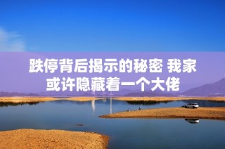 跌停背后揭示的秘密 我家或许隐藏着一个大佬