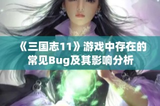 《三国志11》游戏中存在的常见Bug及其影响分析