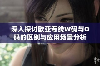 深入探讨欧亚专线W码与O码的区别与应用场景分析