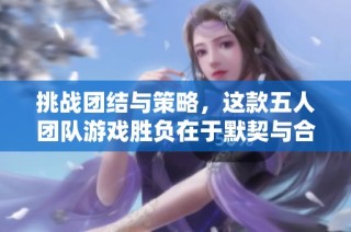 挑战团结与策略，这款五人团队游戏胜负在于默契与合作