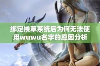 绑定挨草系统后为何无法使用wuwu名字的原因分析