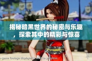 揭秘暗黑世界的秘密与乐趣，探索其中的精彩与惊喜