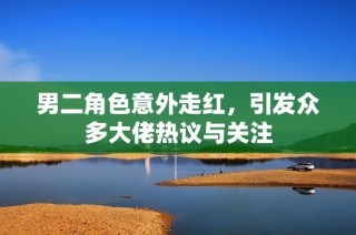 男二角色意外走红，引发众多大佬热议与关注