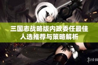 三国志战略版内政委任最佳人选推荐与策略解析
