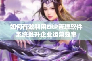 如何有效利用ERP管理软件系统提升企业运营效率