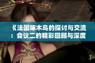 《法国啄木鸟的探讨与交流：会议二的精彩回顾与深度分析》