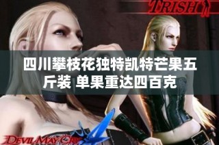四川攀枝花独特凯特芒果五斤装 单果重达四百克