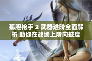 孤胆枪手 2 武器进阶全面解析 助你在战场上所向披靡的最佳武器选择