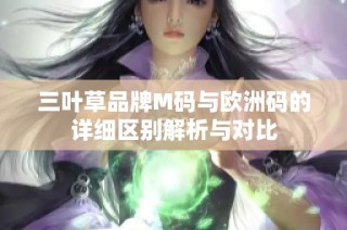 三叶草品牌M码与欧洲码的详细区别解析与对比