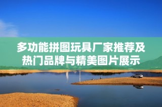 多功能拼图玩具厂家推荐及热门品牌与精美图片展示