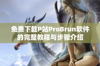 免费下载P站ProBrun软件的完整教程与步骤介绍