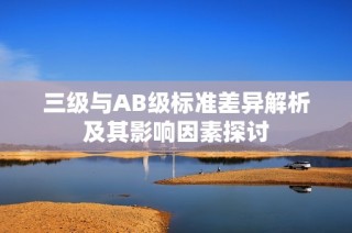 三级与AB级标准差异解析及其影响因素探讨