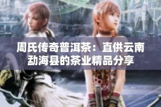 周氏传奇普洱茶：直供云南勐海县的茶业精品分享
