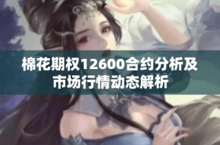 棉花期权12600合约分析及市场行情动态解析