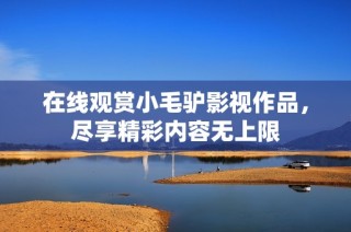 在线观赏小毛驴影视作品，尽享精彩内容无上限