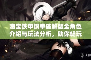 淘宝铁甲钢拳破解版全角色介绍与玩法分析，助你畅玩游戏世界