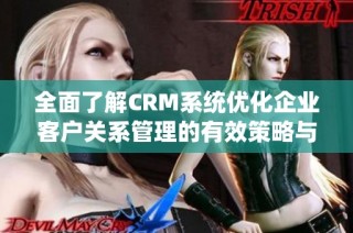 全面了解CRM系统优化企业客户关系管理的有效策略与工具