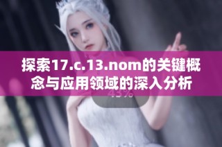 探索17.c.13.nom的关键概念与应用领域的深入分析
