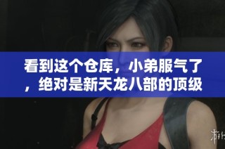 看到这个仓库，小弟服气了，绝对是新天龙八部的顶级装备！