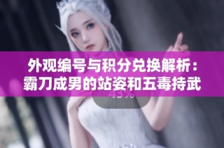 外观编号与积分兑换解析：霸刀成男的站姿和五毒持武器的朝向研究综述
