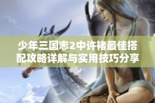 少年三国志2中许褚最佳搭配攻略详解与实用技巧分享