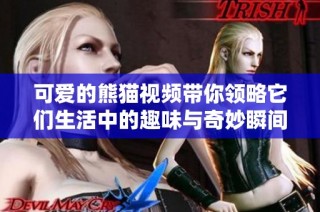 可爱的熊猫视频带你领略它们生活中的趣味与奇妙瞬间