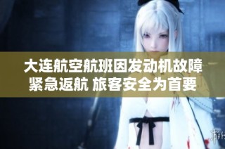 大连航空航班因发动机故障紧急返航 旅客安全为首要