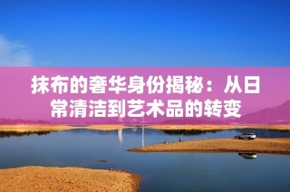 抹布的奢华身份揭秘：从日常清洁到艺术品的转变