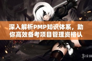深入解析PMP知识体系，助你高效备考项目管理资格认证