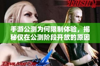 手游公测为何限制体验，揭秘仅在公测阶段开放的原因和影响