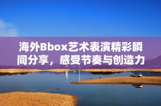 海外Bbox艺术表演精彩瞬间分享，感受节奏与创造力的碰撞