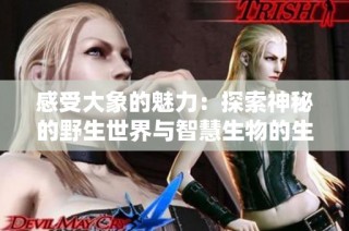感受大象的魅力：探索神秘的野生世界与智慧生物的生活习性