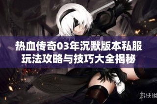 热血传奇03年沉默版本私服玩法攻略与技巧大全揭秘
