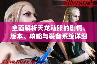 全面解析天龙私服的剧情、版本、攻略与装备系统详细介绍